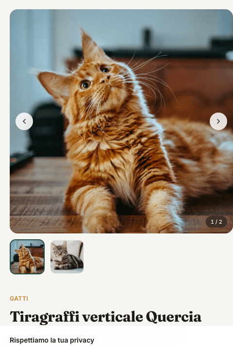 La stessa scheda prodotto di Pawtner vista da telefono: immagine a tutta larghezza, miniature sotto e titolo del prodotto.